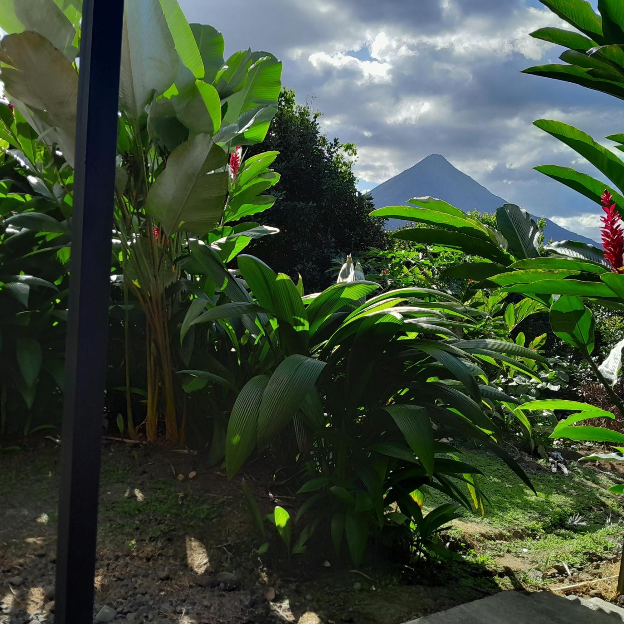 Cabana Rural Pura Vida La Fortuna Esterno foto